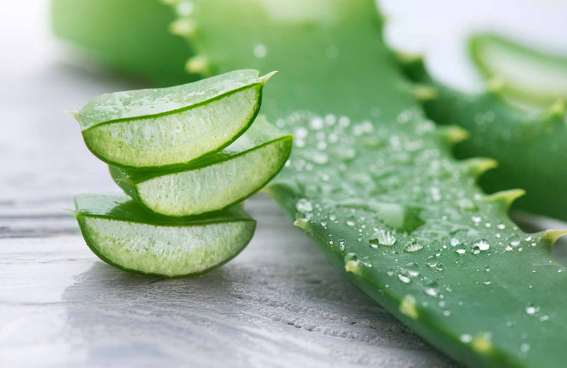 Aloe vera biologica